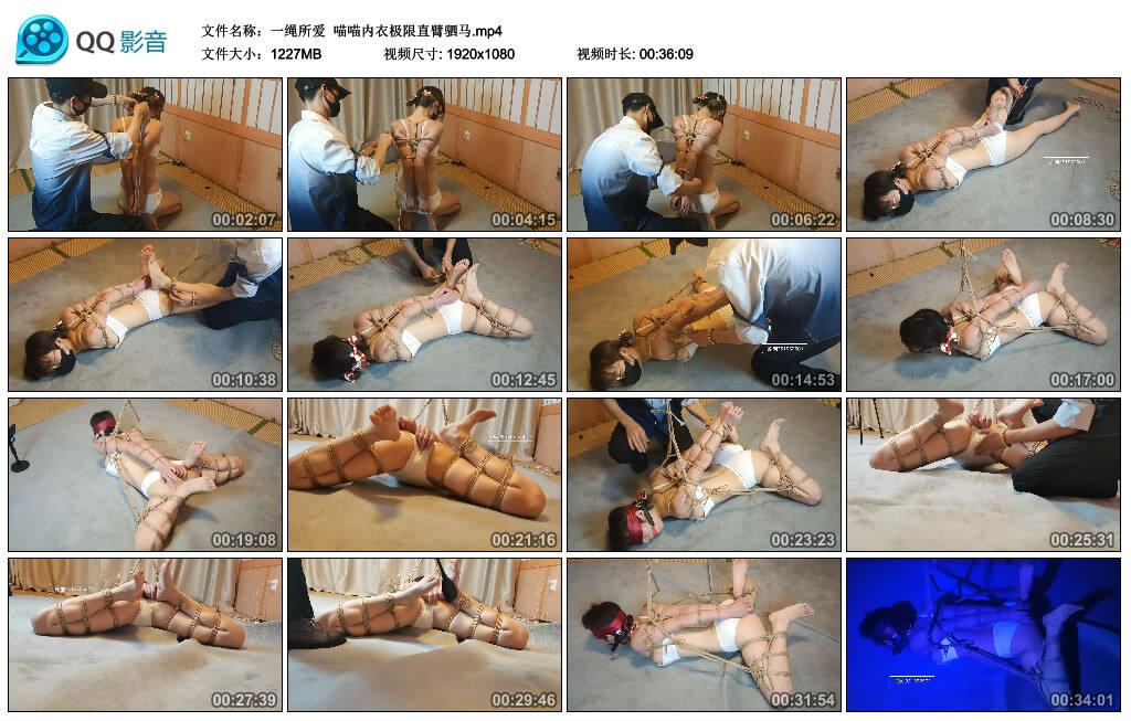 【一绳所爱】喵喵内衣极限直臂驷马