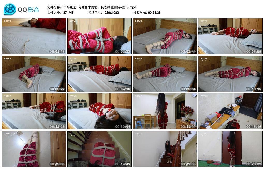 【半岛束艺】良禽择木而栖，良衣择主而侍~西玛