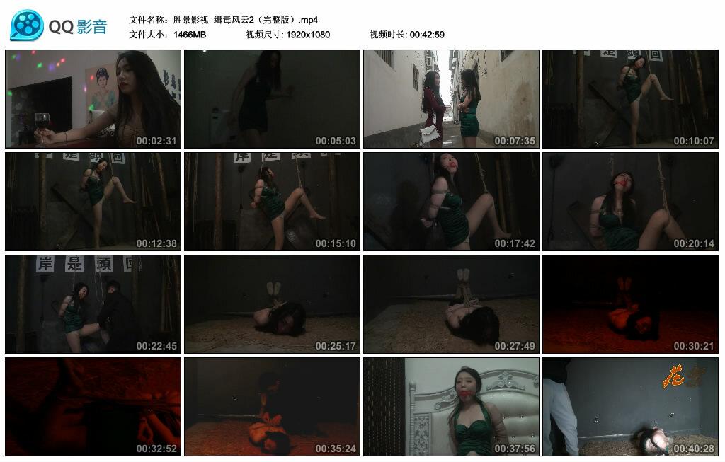 【胜景影视】缉毒风云2（完整版）