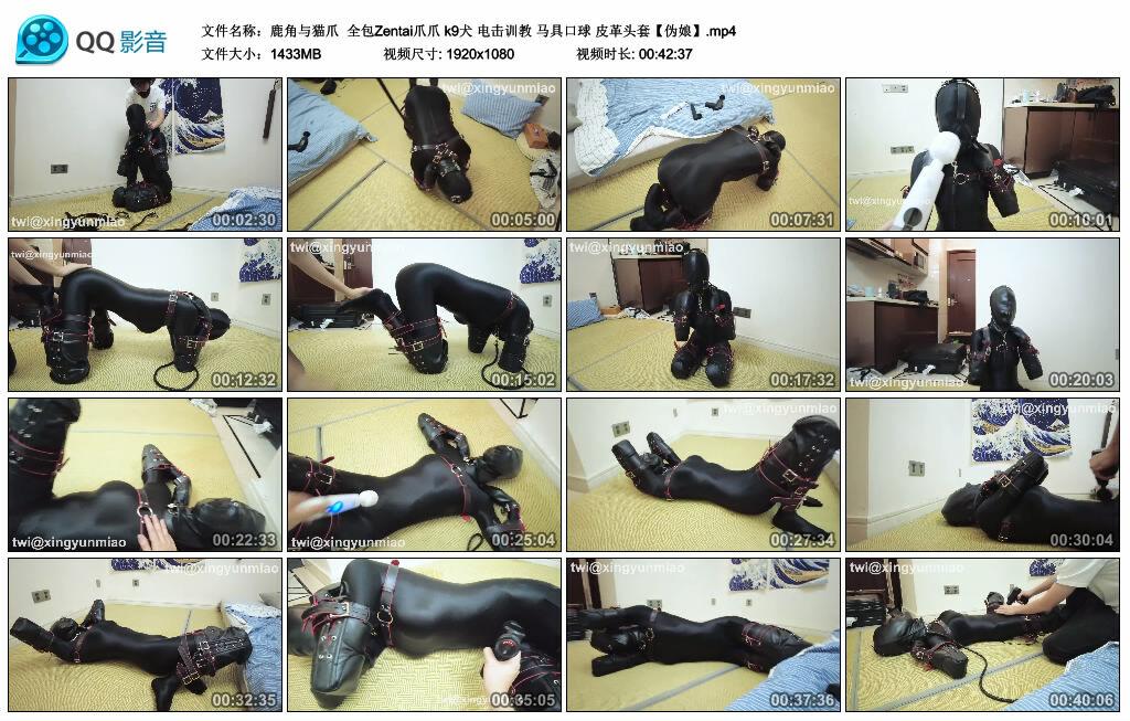 【鹿角与猫爪】全包Zentai爪爪 k9犬 电击训教 马具口球 皮革头套【伪娘】
