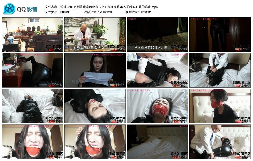 逍遥 定制收藏家的秘密（上）混血美盗落入了精心布置的陷井