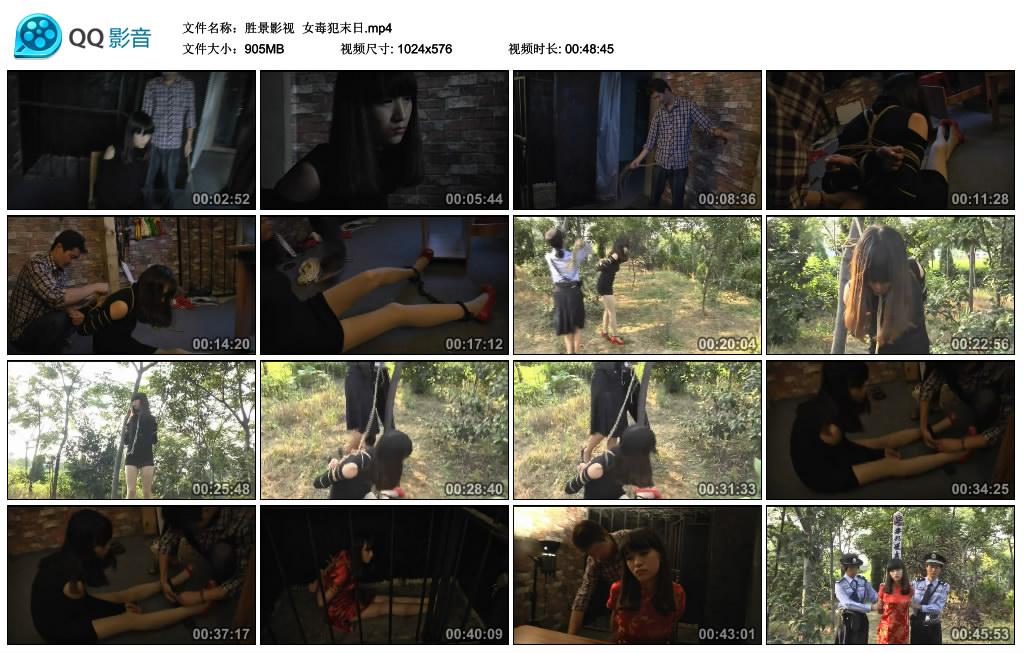 【胜景影视】女毒犯末日