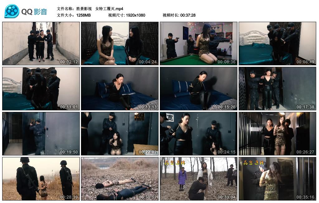 胜景影视 女特工覆灭