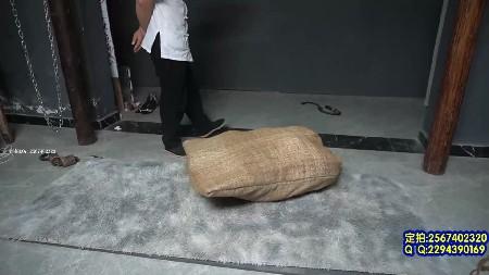 【mj影视】麻袋绑匪1~潼潼主演