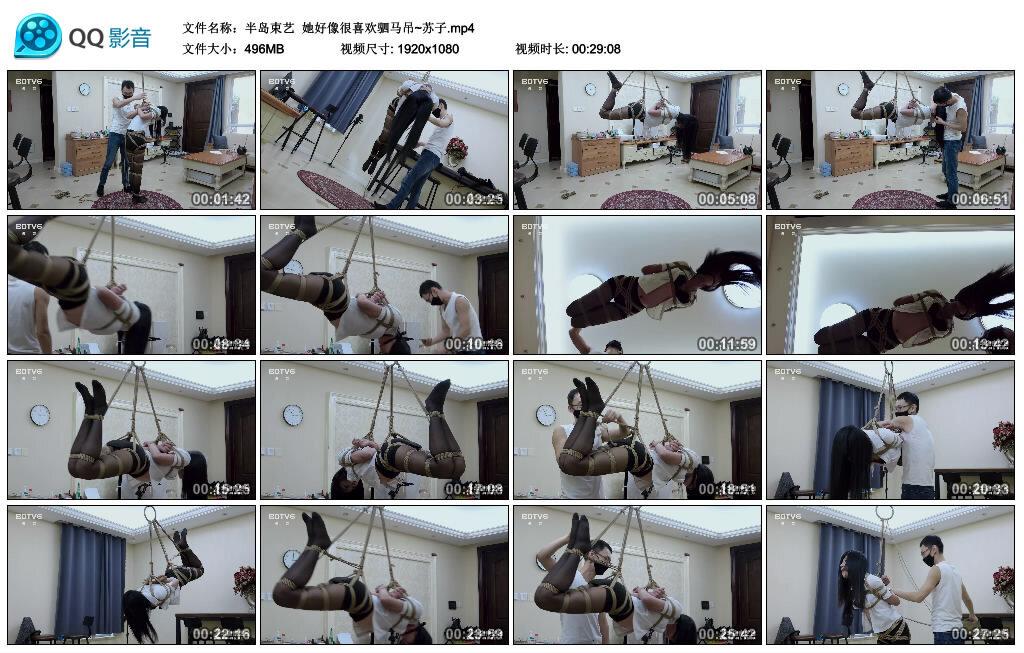 【半岛束艺】她好像很喜欢驷马吊~苏子