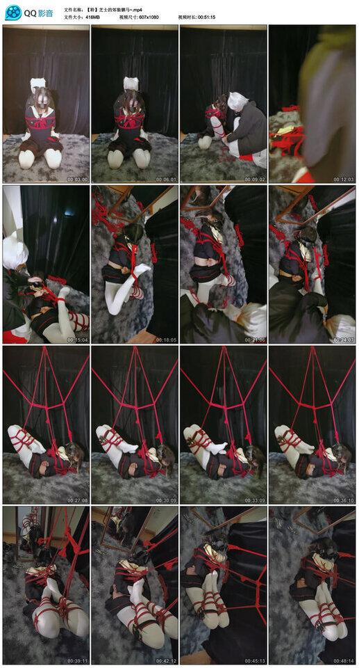 芝士的郊狼驷马~