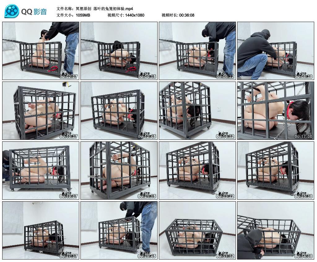 【冥想原创】落叶的兔笼初体验