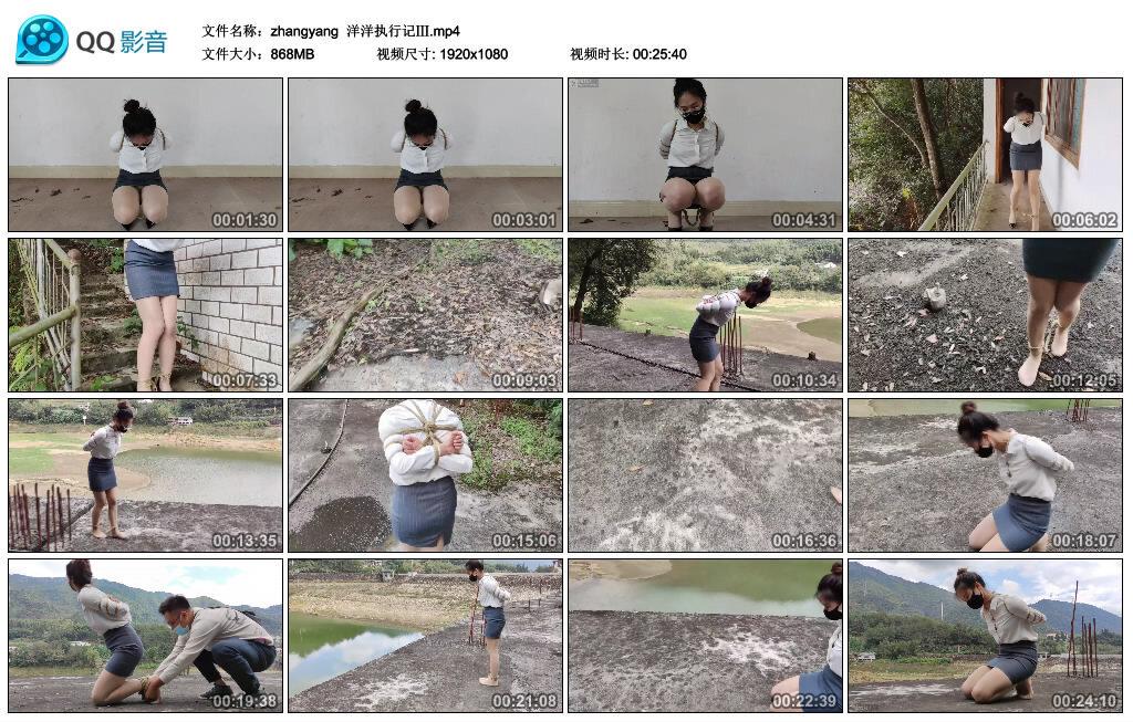 【zhangyang】洋洋执行记Ⅲ