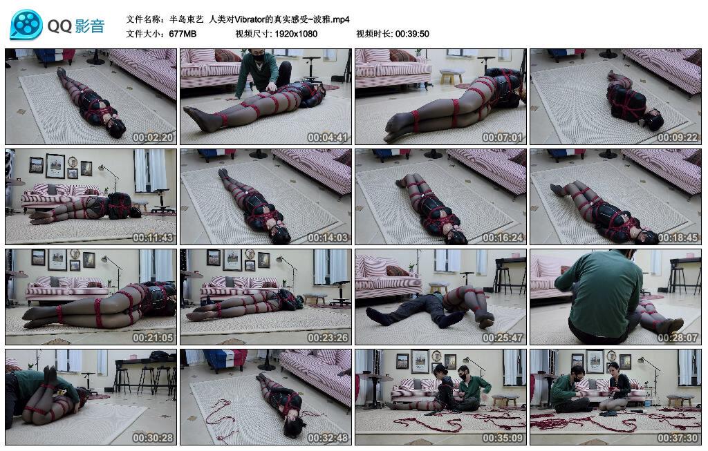 【半岛束艺】人类对Vibrator的真实感受~波雅