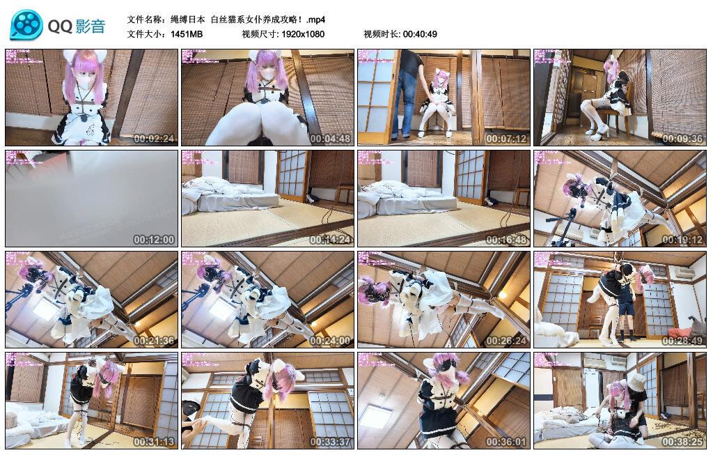 【绳缚日本】白丝猫系女仆养成攻略！
