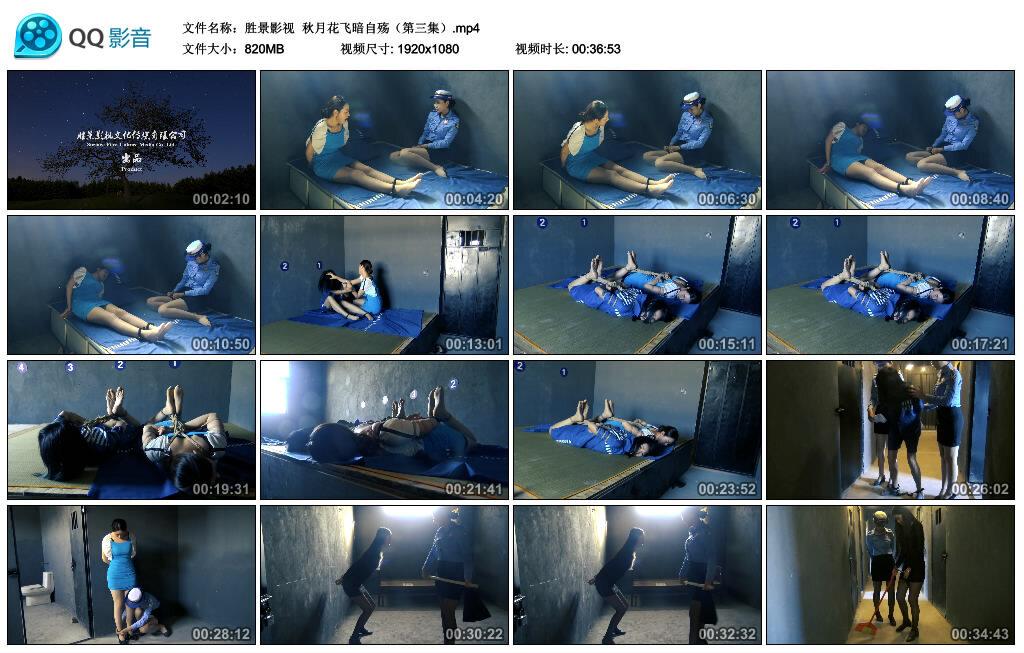 【胜景影视】秋月花飞暗自殇（第三集）