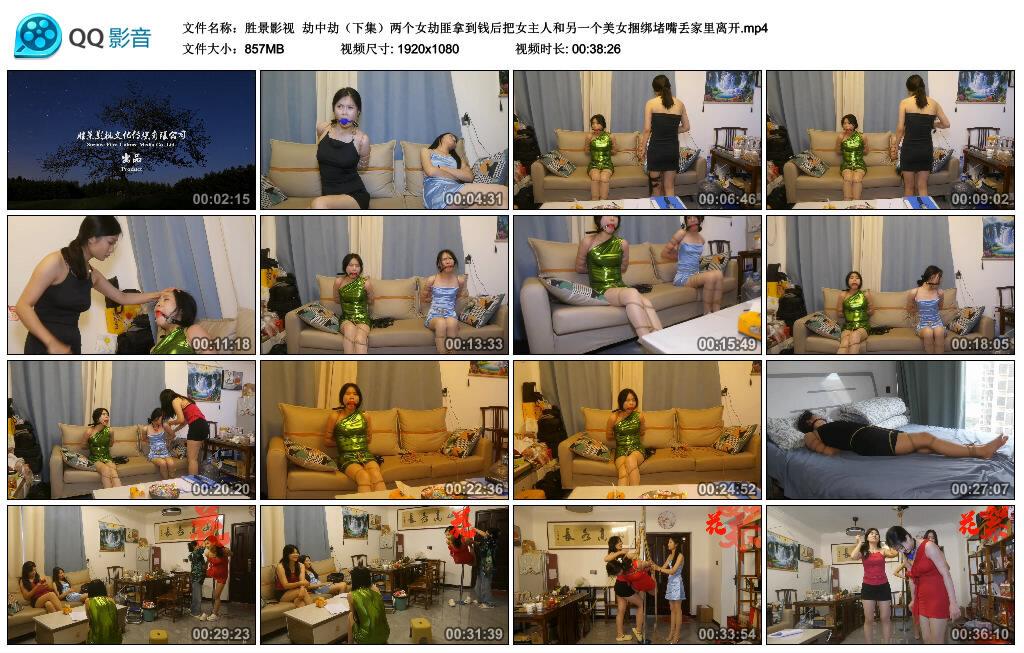 【胜景影视】劫中劫（下集）