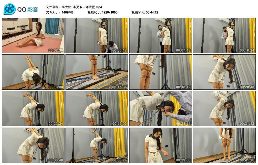 【李大侠】小夏双口环放置