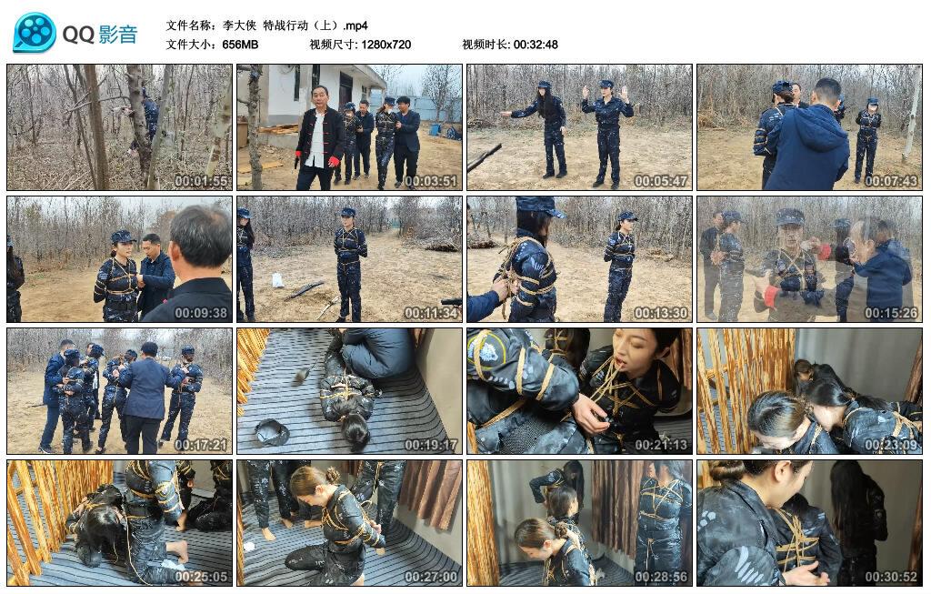 【李大侠】特战行动（上）