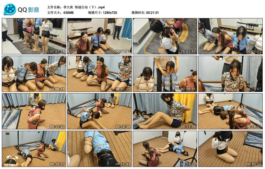 【李大侠】特战行动（下）