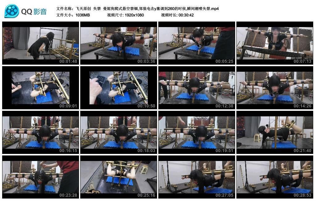 【飞天原创】失禁 曼妮狗爬式悬空禁锢,郊狼电击y塞调到260的时候,瞬间潮喷失禁