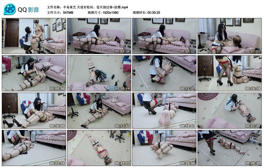 【半岛束艺】天道有轮回，苍天饶过谁~波雅