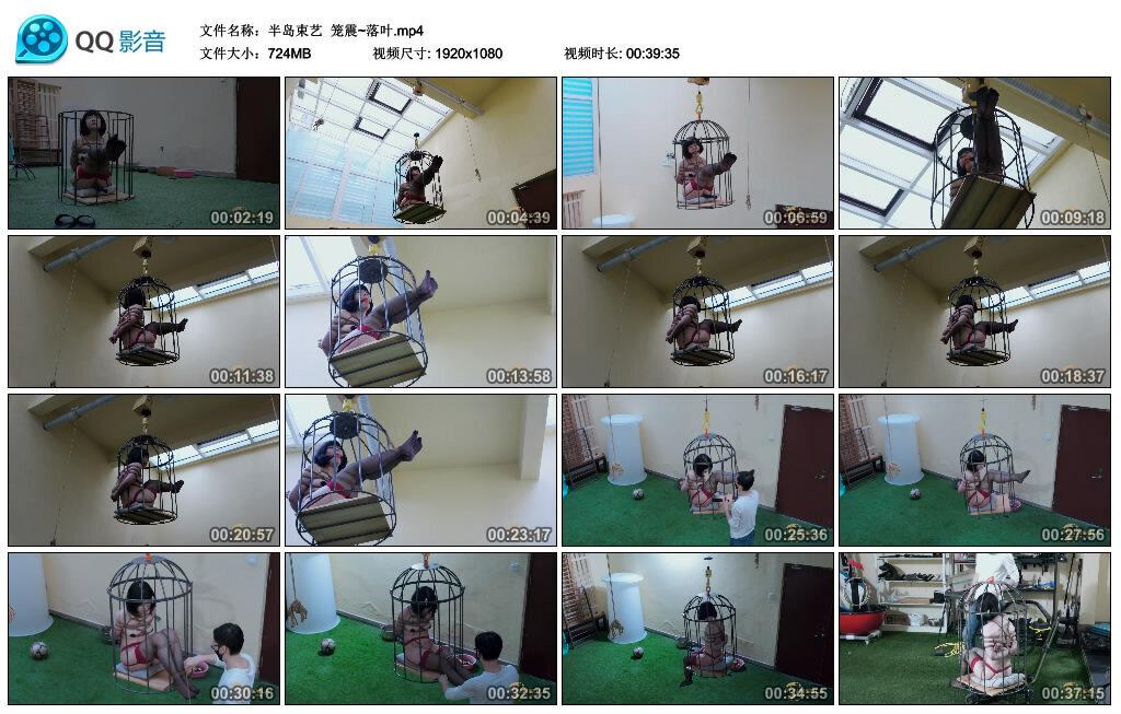 【半岛束艺】笼震~落叶