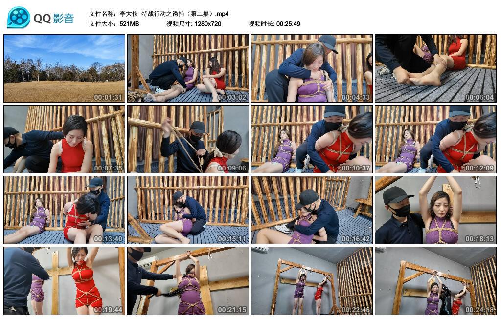 【李大侠】特战行动之诱捕（第二集）