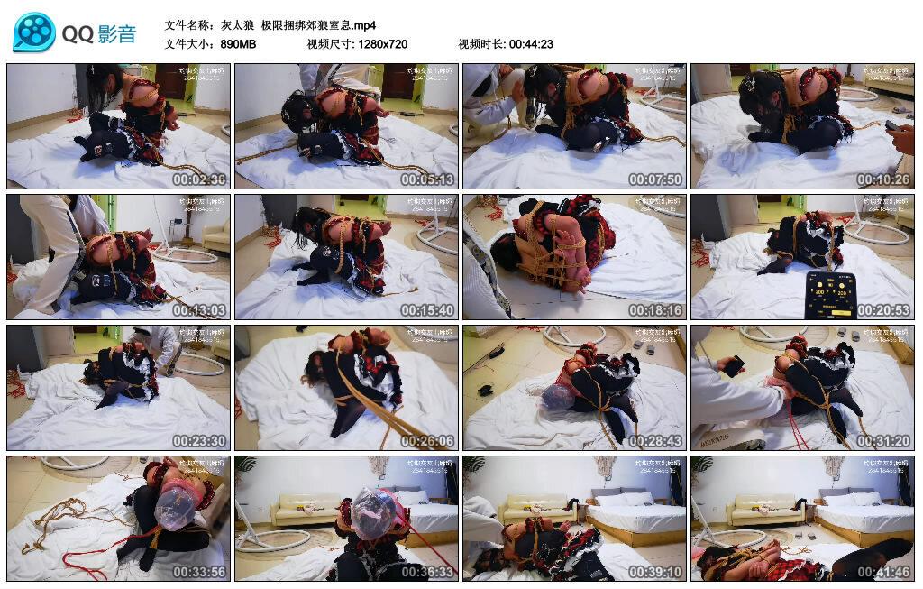 【灰太狼】极限捆绑郊狼窒息