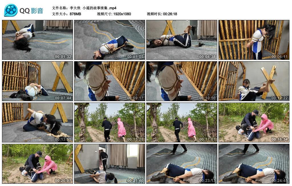 【李大侠】小遥的故事续集