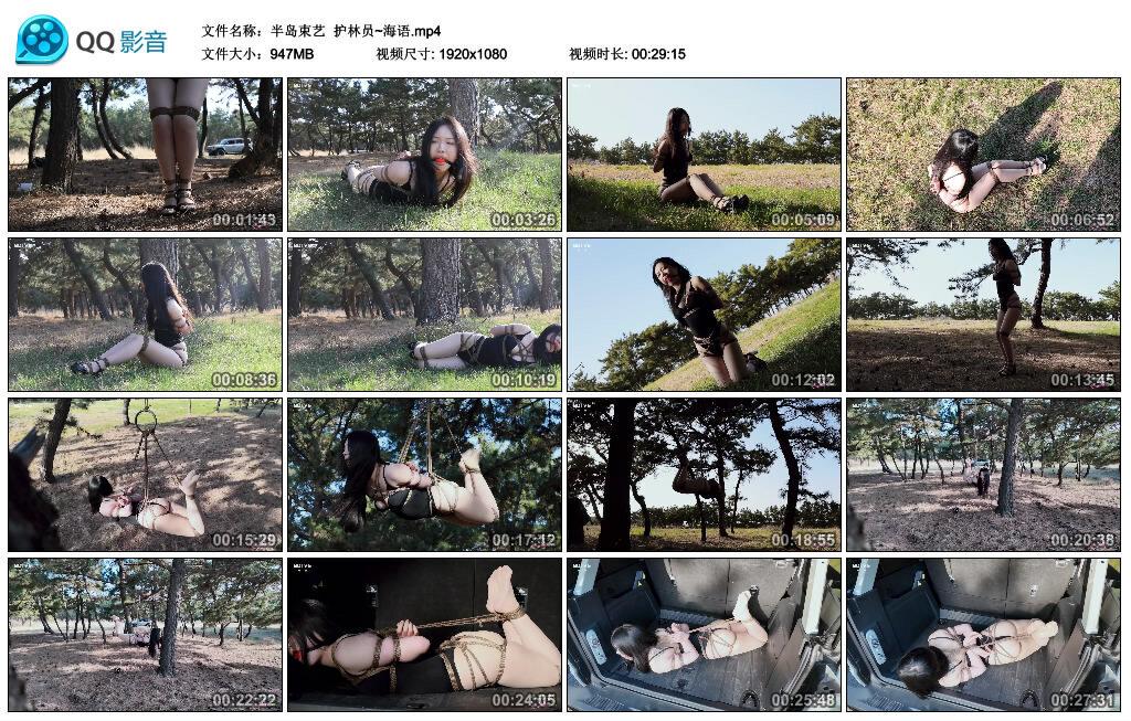 【半岛束艺】护林员~海语