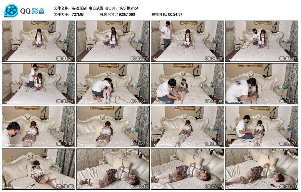 【秘语原创】电击放置 电击片，快乐棒