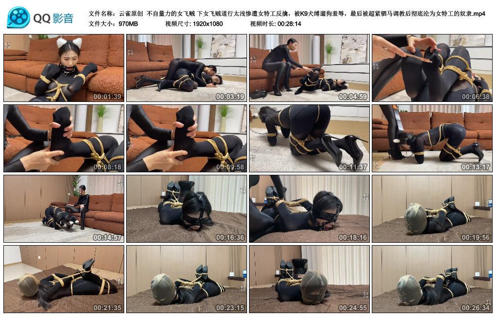 【云雀原创】不自量力的女飞贼 下