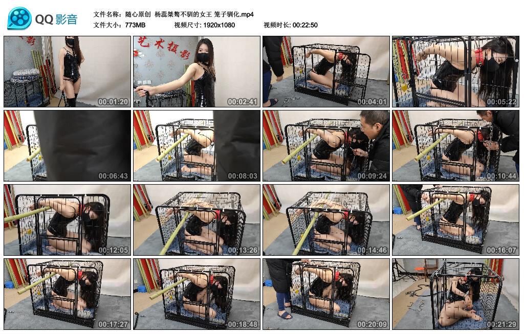 【随心原创】杨蕊桀骜不驯的女王 笼子驯化