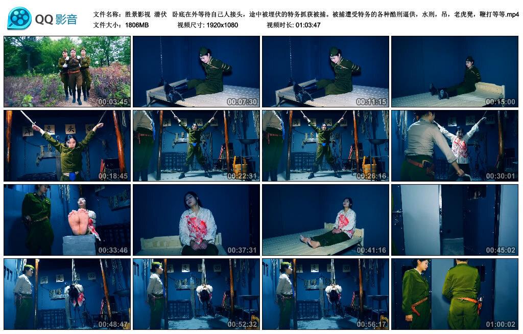 【胜景影视】潜伏