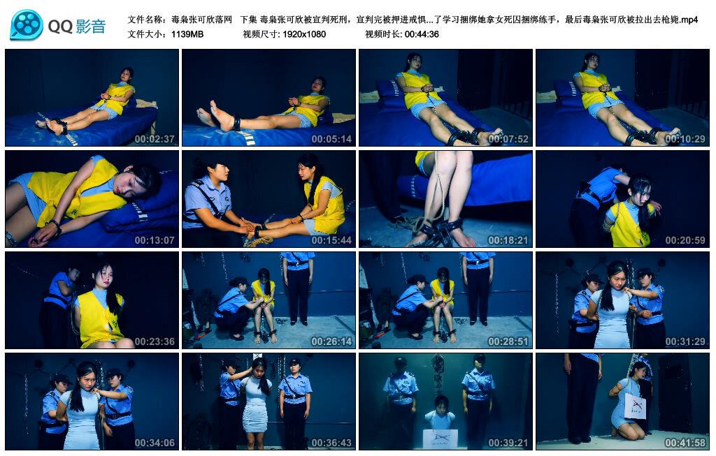 【胜景影视】毒枭张可欣落网 下集