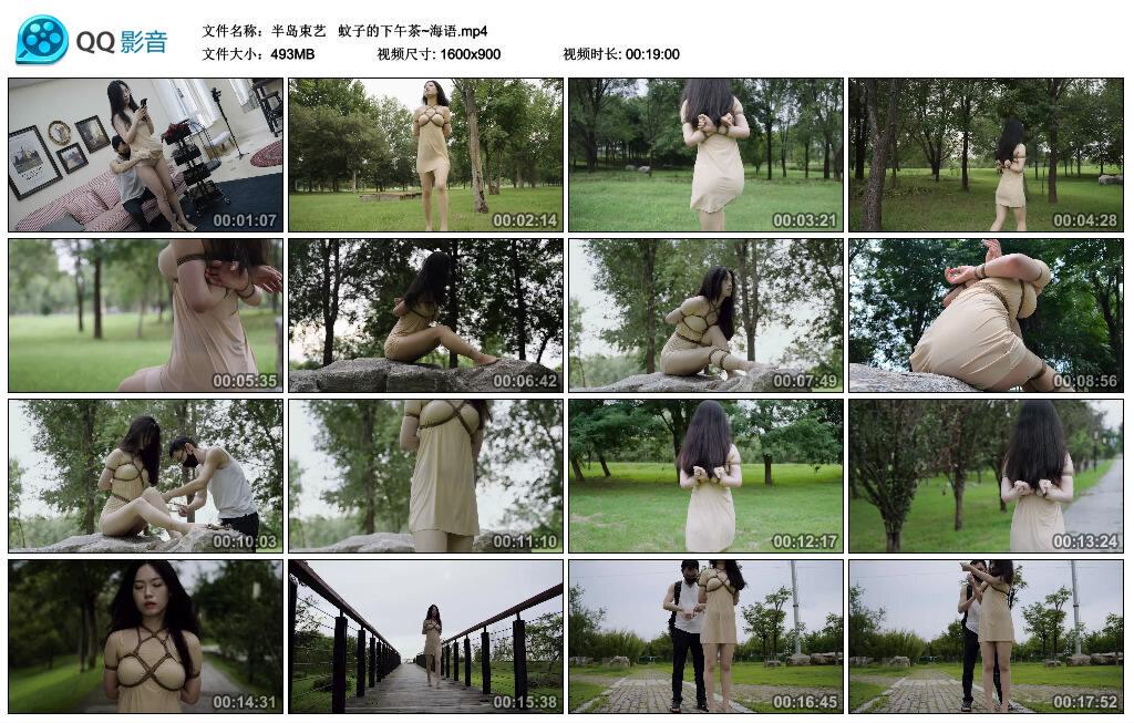 【半岛束艺】 蚊子的下午茶~海语