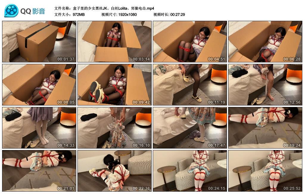 盒子里的少女黑丝JK、白丝Lolita、郊狼电击