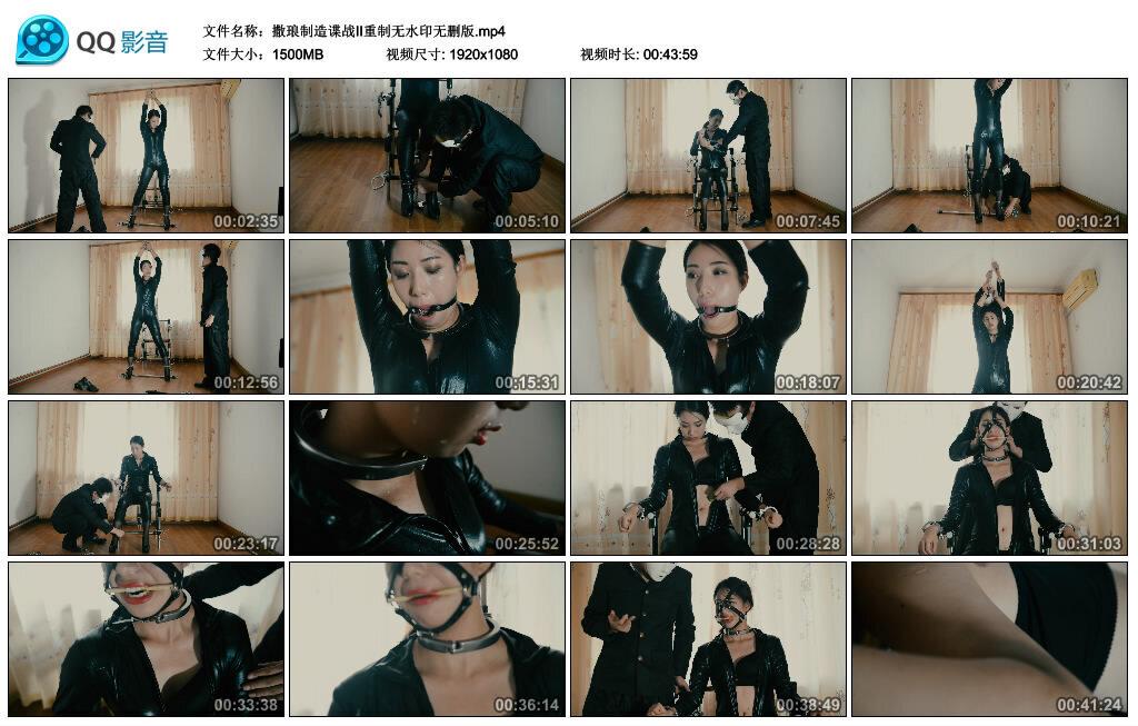 【撒琅制造】谍战II重制无水印无删版