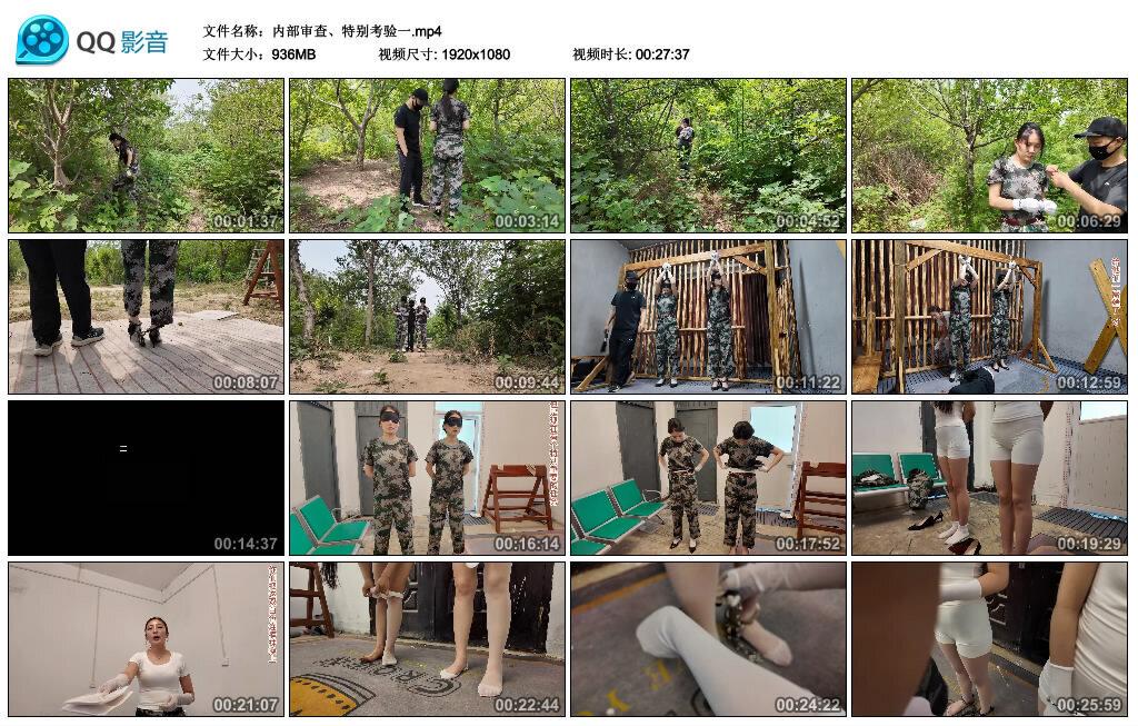 【李大侠】内部审查、特别考验一