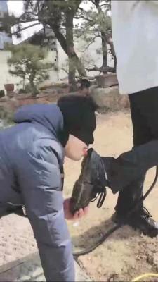 【辰辰】冰天雪地户外遛狗骑马 bf23262