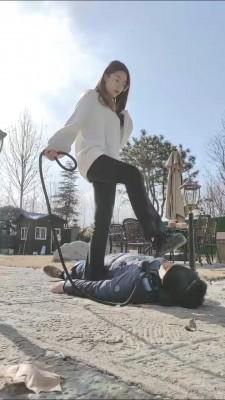 【辰辰】冰天雪地户外遛狗骑马 bf23262