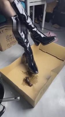 【深圳万一S】踩踏碾压小龙虾