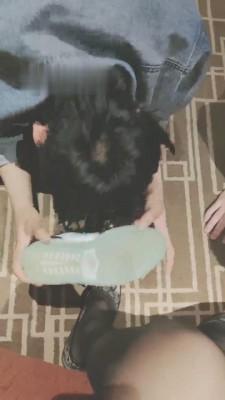 【00后南茜】黑丝踩踏食物喂食恋足双奴 bf12177