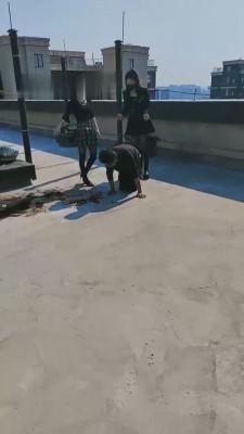 【雪儿】双S户外吃泥巴/踩踏 bf12000