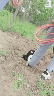 【美帝】双S户外活埋跟踪狂魔【三视角版】 bf11843