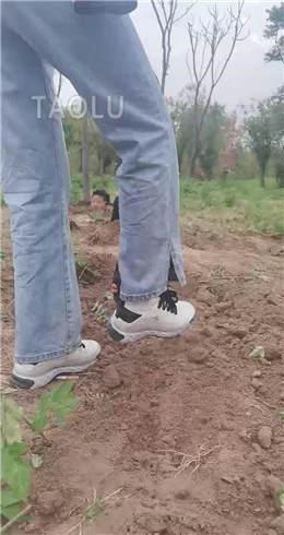 超强野外双S遛狗【上】 JS2204301