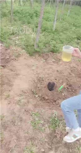 超强野外双S遛狗【上】 JS2204301