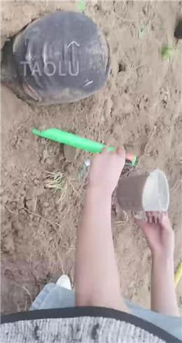 超强野外双S遛狗【上】 JS2204301