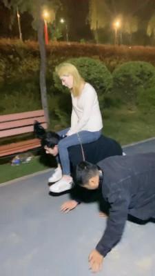 【紫烟】户外调双狗比赛【双视角版】 bf11809