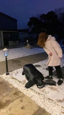 【星染】双主户外雪地暴力抽奴 bf23195