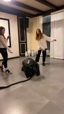 【星染】双主户外雪地暴力抽奴 bf23195