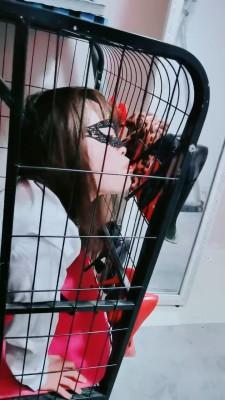 【梦幻大大】学生暴虐新来的老师 bf23084