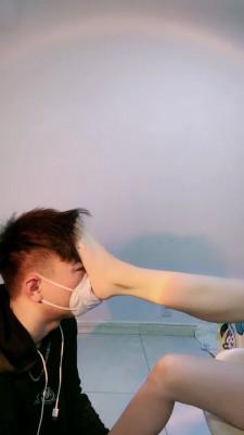 【罗宾】口嗨狗的下场 bf23158