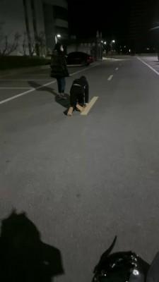 【桃幼幼】学生主户外溜双狗 bf23005